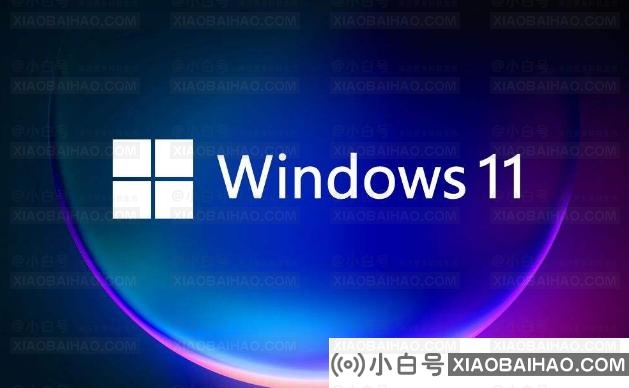 Win11如何添加新网络？Win11添加新网络的方法