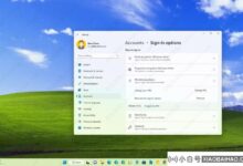 如何删除Windows 11上的PIN(灰色)?_小白号