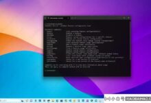 如何使用ViveTool在Windows 11上启用实验隐藏功能?_小白号
