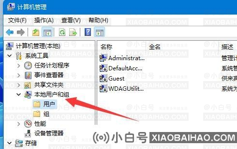 Win11如何添加游客用户？Win11添加游客用户的方法