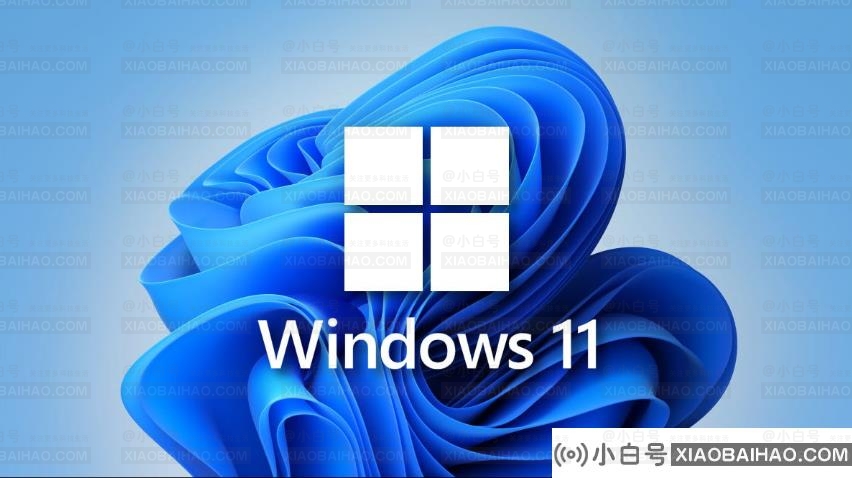 win 11 FAQ win 11升级问题汇总-小白号
