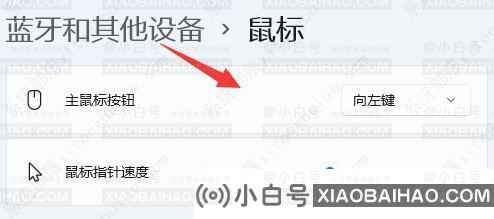 win11鼠标套装在哪里？win11鼠标设置位置详解(windows10鼠标设置)-小白号