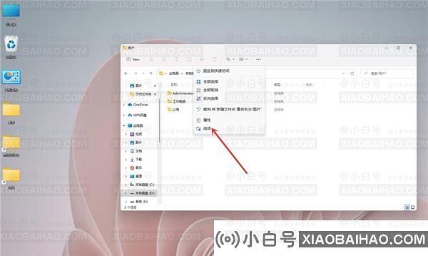 Win11显示文件后缀名的方法