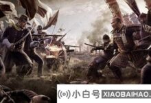 win10玩不了幕府2。怎么解决?win10不能玩幕府2的两个解决方案(幕府win10不能正常运行)_小白号