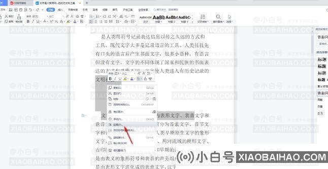 WPS文档如何去掉空白间隙？WPS文档去掉空白间隙方法