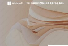 Win11下载_Win11系统正式版64位专业版(永久激活)_小白号