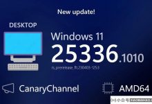 Microsoft Win11 Build 25336.1010金丝雀预览版推送,主要用于测试服务管道_小白号