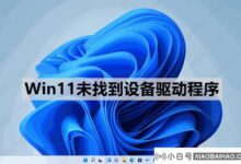Win11找不到设备驱动程序。发生了什么事?_小白号