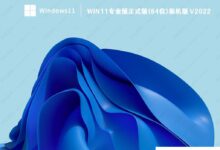 Win11最新版本系统下载_Win11专业版正式版(64位)安装版本_小白号