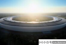 苹果发布2020年上半年透明报告(2020苹果透明概念机)_小白号