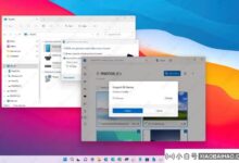 如何在Windows 11上导入手机、相机、SD卡中的照片?_小白号