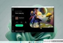 如何在Windows 11上玩安卓游戏?有两条路供你选择!_小白号