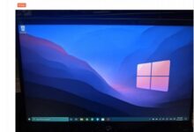 升级Win11出错:如果这个版本的Windows不支持这个处理器怎么办?(windows11不支持这个处理器有什么问题)_小白号