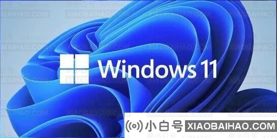 Win11每次都检查tpm吗？Win11每次开机都会检查tpm详细信息吗(win11开启tpm)-小白号