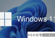 如何解决Win11错误码0x8007007B？(错误代码0x8007007bwin10专业版)_小白号