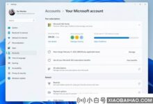 Win11新版本来了:更新内容和修复问题列表(win11更新遇到问题)_小白号