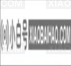 win11任务栏怎么设置分开？win11任务栏设置不合并教程