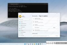 如何删除Windows 11上的登录密码?四种方法教你!_小白号