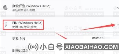 win11 pin码只能更改不能删除怎么办？