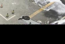 蔚来汽车声明:测试车辆发生碰撞造成两人死亡,初步确认为事故。_小白号
