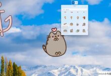 如何开启win11桌面贴纸功能?win11桌面贴纸功能打开教程(windows贴纸有什么用)_小白号
