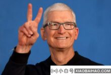 据说苹果ceo库克多年前对中国市场的投资大获成功(苹果CEO库克)_小白号
