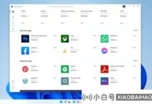 Win11有几个版本?Windows11不同版本差异介绍(win11版本差异)_小白号