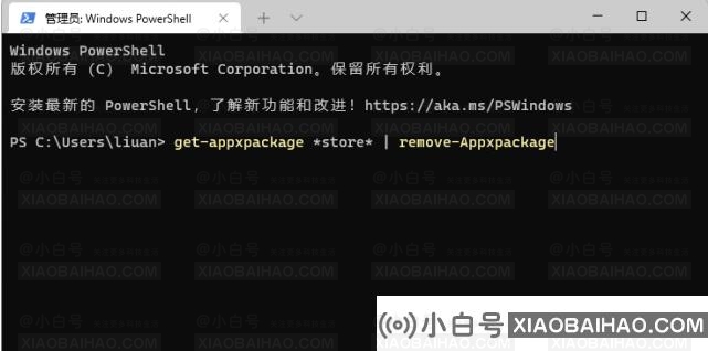 Win11应用商店怎么更新新版？应用商店更新教程