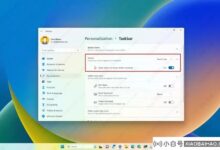当我在Windows 11上启用新的悬停时,如何打开搜索选项?_小白号