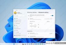 Windows 11上如何调整活动时间避免随机重启?_小白号